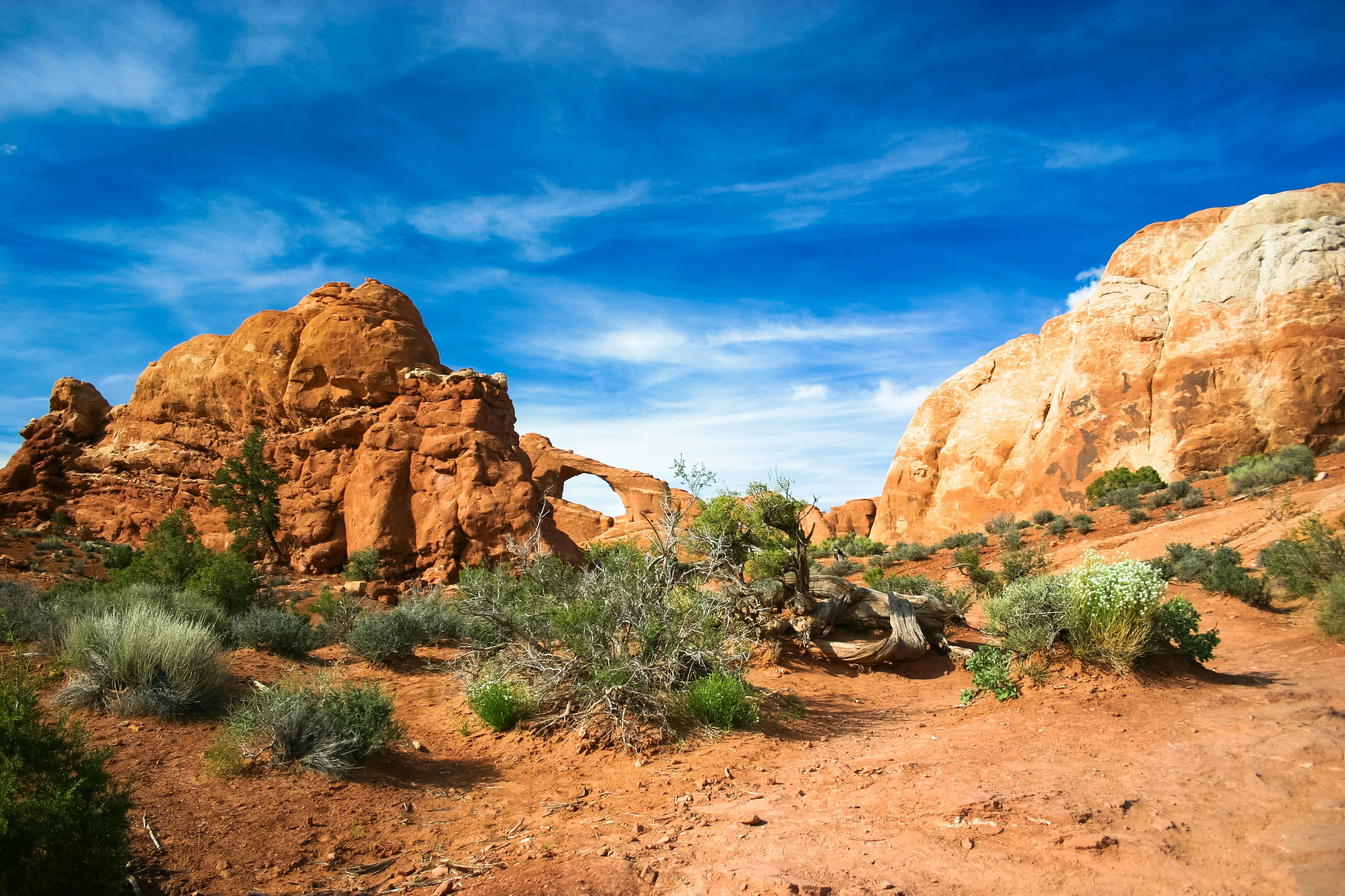 canyon park during daytime